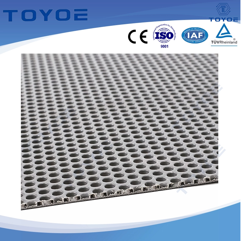 Lightweight PP Honeycomb Board | Waterproof Packaging Panels | Toyoe
