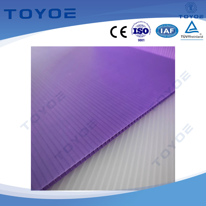 EU-standard Export-grade PP Hollow Boards Are Suitable for The Production of Various Types of Packaging Containers